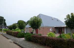 Boyl (2)